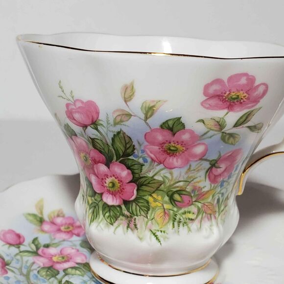 Royal Albert Teacup and Saucer Petula Sunnyside Series - Picture 3 of 9